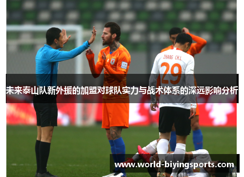 未来泰山队新外援的加盟对球队实力与战术体系的深远影响分析